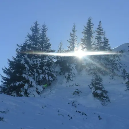 Spath Apartment Kaprun